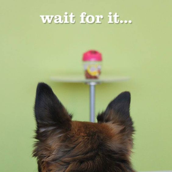 Anticipation is…© By Felina Silver Copyright 2016, 2018,&nbsp;2025