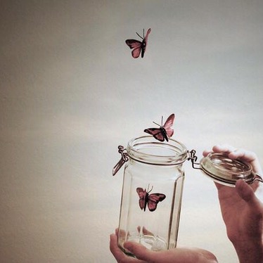 Cheated Out Of&nbsp;Life©