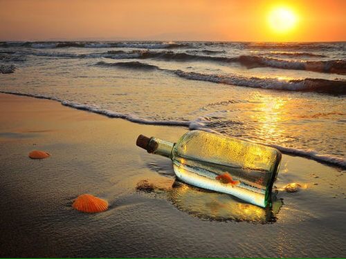 Where have you&nbsp;gone©