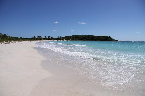 A Day At The Beach©1.jpg