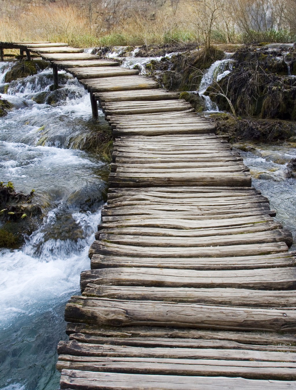 Looking for the strength to ask you…©