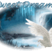 Dreams©