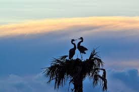 Friends In High&nbsp;Places©