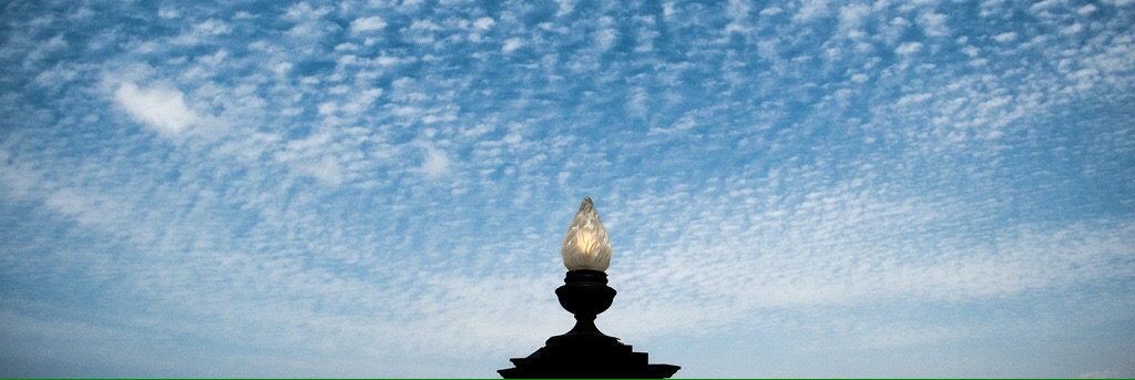 Felina’s Thought of the Day&nbsp;(3/14/17)