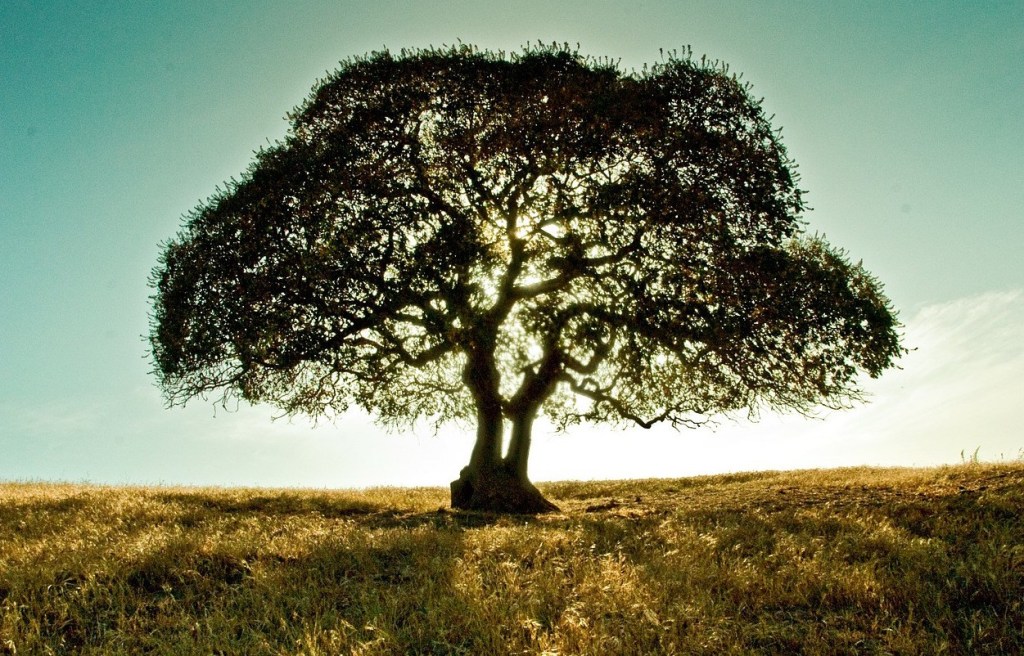 Only When I&nbsp;Cry©