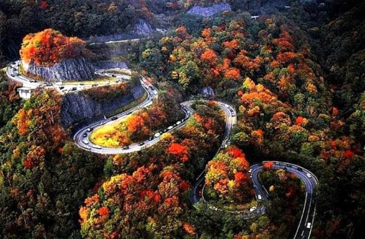 The Winding Road©