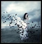 Whispers in the&nbsp;Wind©