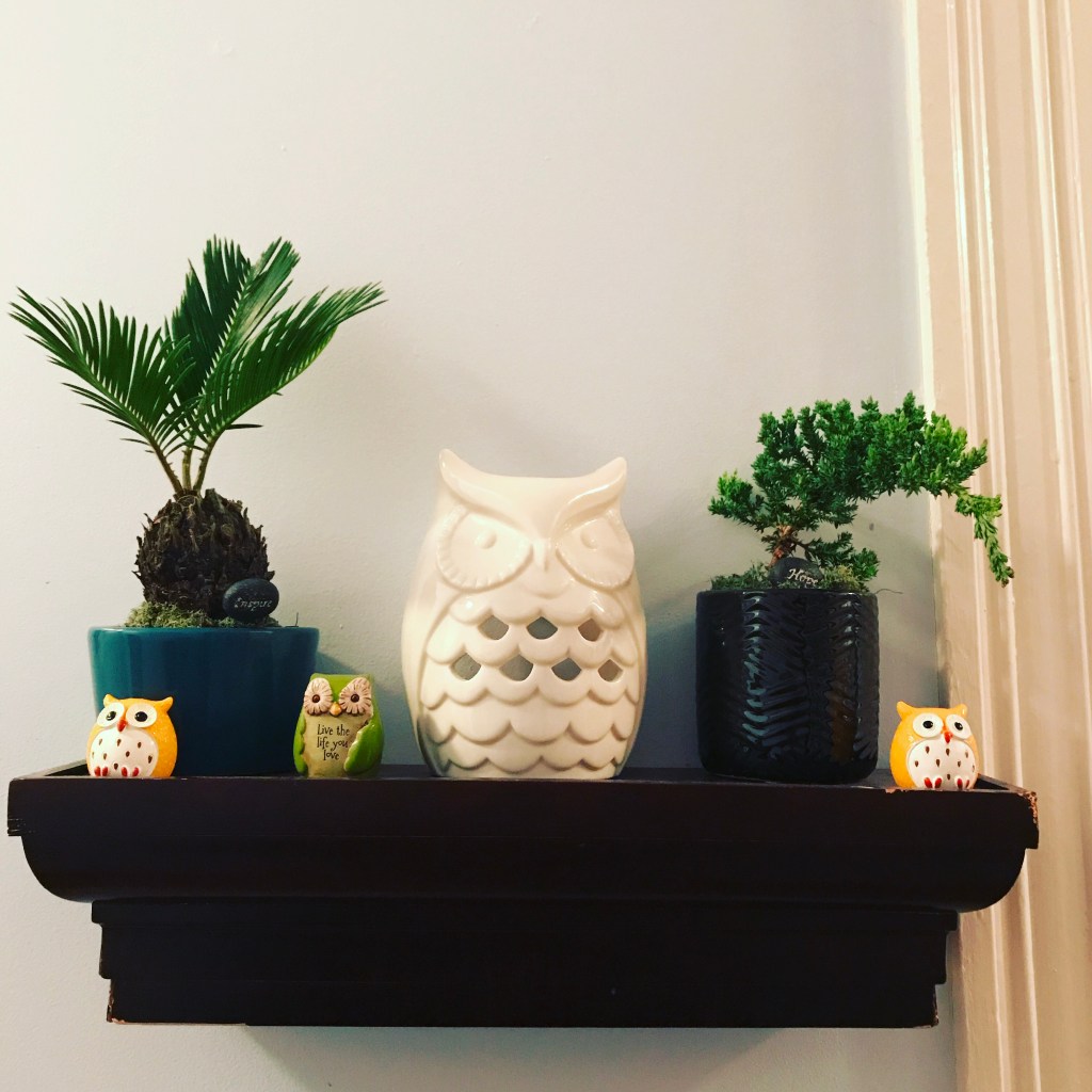 Felina’s Thought of the Day&nbsp;(5/12/17)