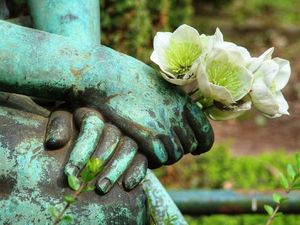 In the Year to Come©