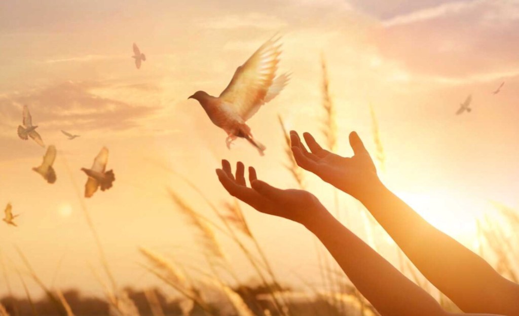 Devout are We&nbsp;©